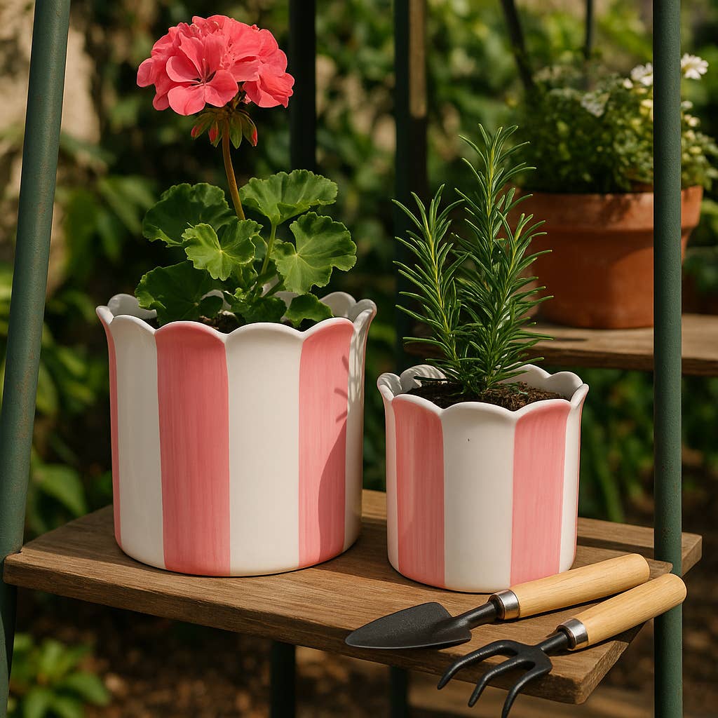 Planters- Pink Ceramic Striped Scallop, 6 & 8 in.