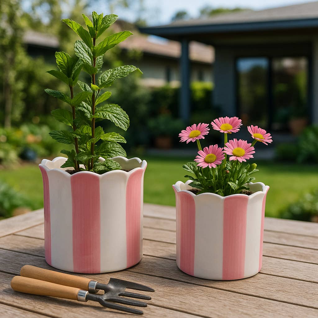 Planters- Pink Ceramic Striped Scallop, 6 & 8 in.