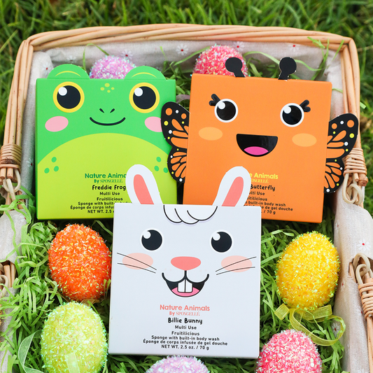 Nature Animals Sponges  | Kids
