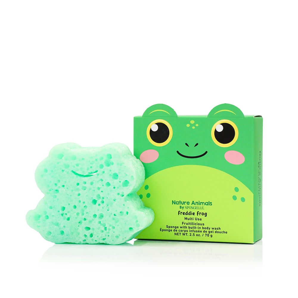 Nature Animals Sponges  | Kids