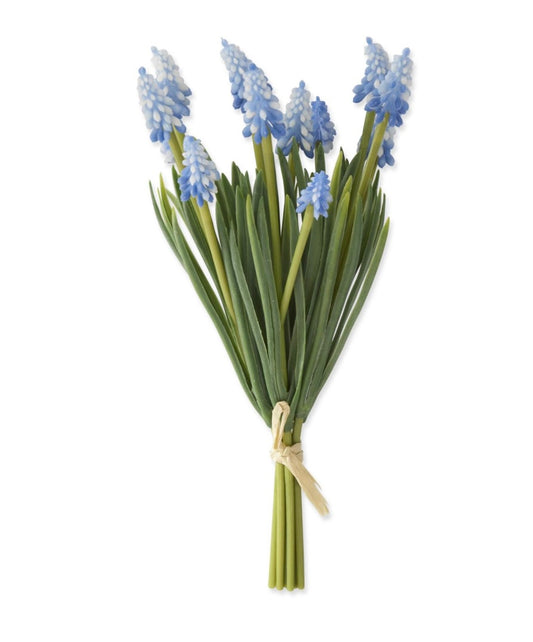 10.5 INCH BLUE GRAPE HYACINTH BUNDLE (6 STEMSS)