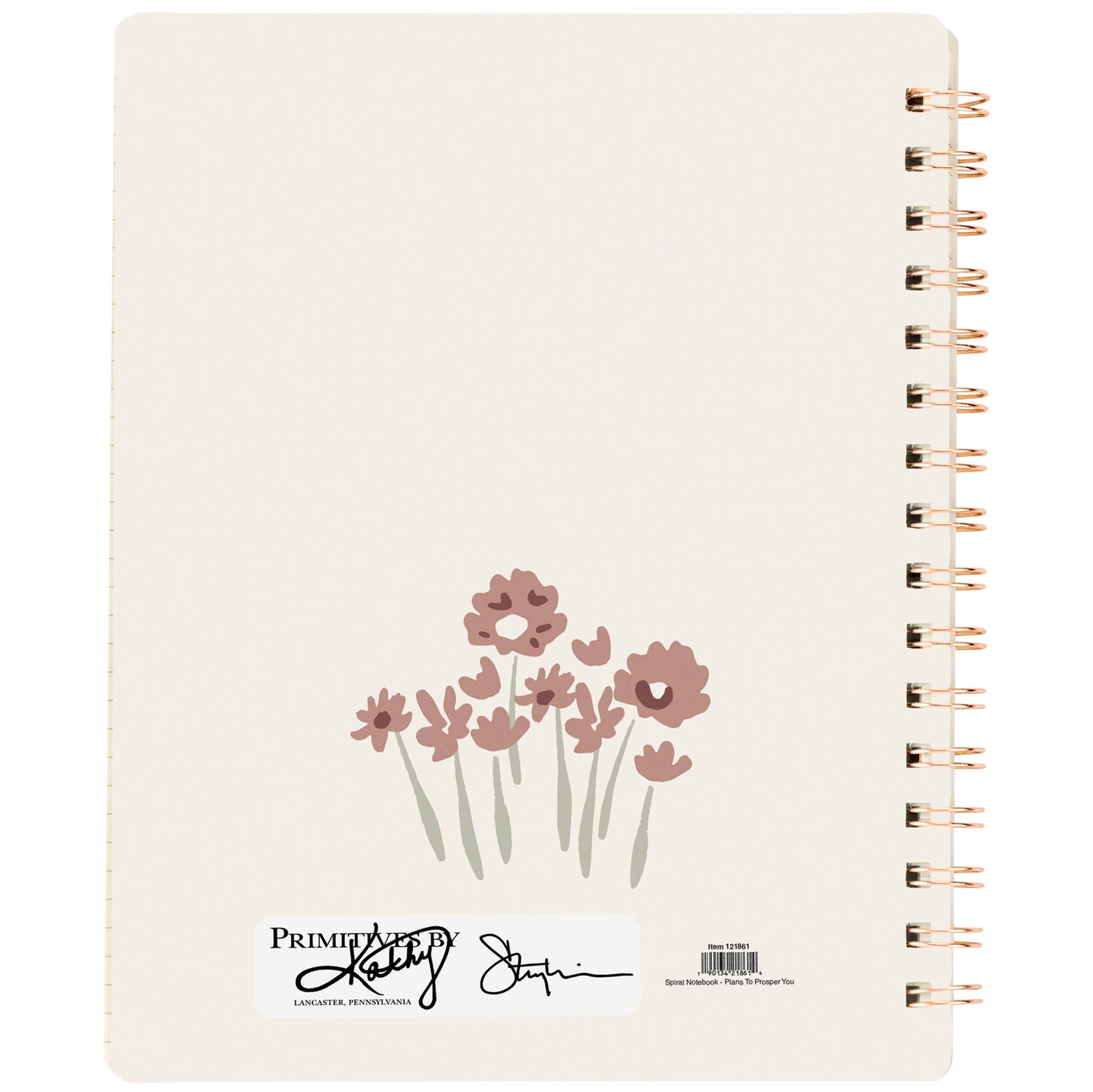 Plans To Prosper You Spiral Notebook