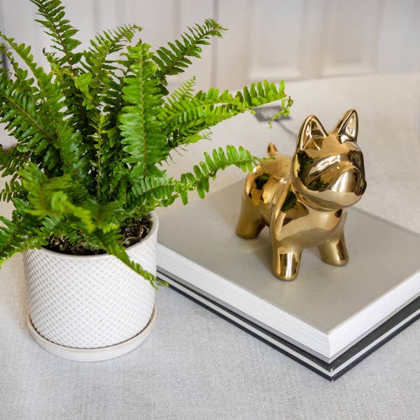 Decorative Figurine - Gold Ceramic Sculptural Dog, 8 in.